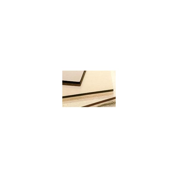Professional Plastics Clear Polycarbonate Recling Masked Sheet, 0.187 X 48.000 X 96.000 ( Ea SPCCL.187X48.000X96.000RM - main